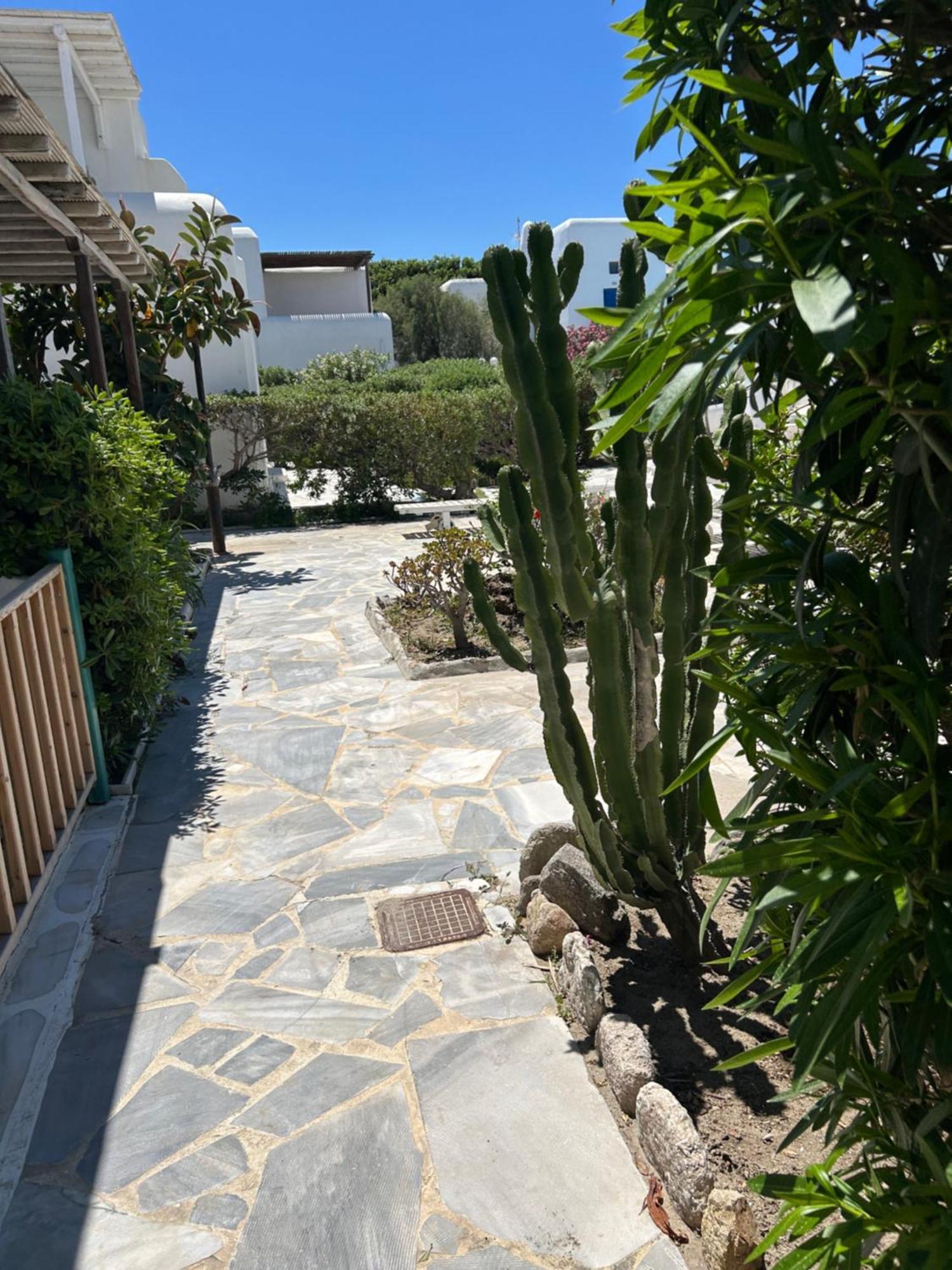Villa Luxury House With Swimming Pool In Ornos  Exterior foto